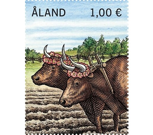 2 Oxen - Åland Islands 2020 - 1