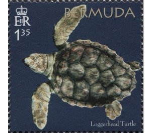 50th Anniversary of the Bermuda Turtle Project - North America / Bermuda 2018 - 1.35