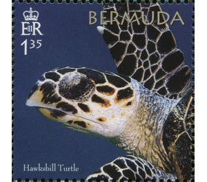 50th Anniversary of the Bermuda Turtle Project - North America / Bermuda 2018 - 1.35