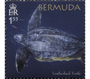 50th Anniversary of the Bermuda Turtle Project - North America / Bermuda 2018 - 1.55