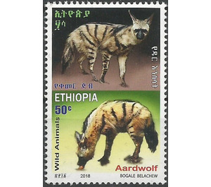 Aardwolf (Proteles cristata) - East Africa / Ethiopia 2019 - 50