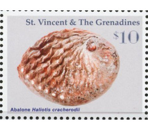 Abalone - Caribbean / Saint Vincent and The Grenadines 2016 - 10