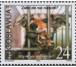 Abandoned Dog (Canis lupus familiaris) - Yugoslavia 2003 - 24