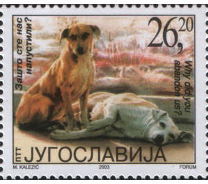 Abandoned Dog (Canis lupus familiaris) - Yugoslavia 2003 - 26.20