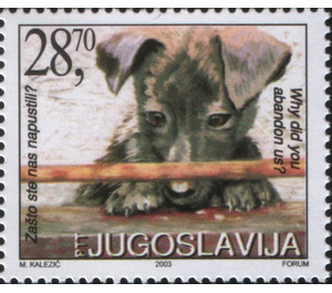Abandoned Dog (Canis lupus familiaris) - Yugoslavia 2003 - 28.70