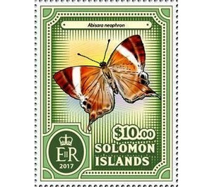 Abisara neophron - Melanesia / Solomon Islands 2017 - 10