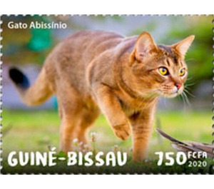 Abyssinian Cat - West Africa / Guinea-Bissau 2020 - 750