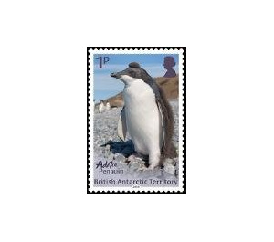 Adélie Penguin - British Antarctic Territory 2018 - 1