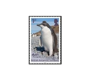 Adélie Penguin - British Antarctic Territory 2018 - 1