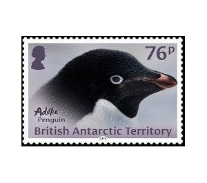 Adélie Penguin - British Antarctic Territory 2018 - 76