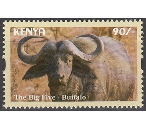 African Buffalo (Syncerus caffer) - East Africa / Kenya 2017 - 90