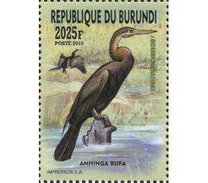 African Darter (Anhinga rufa) - East Africa / Burundi 2016