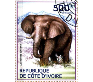 African Elephant (Loxodonta africana) - West Africa / Ivory Coast 2014 - 500