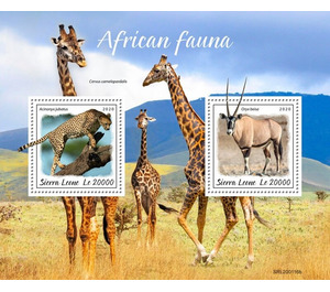 African Fauna - West Africa / Sierra Leone 2020