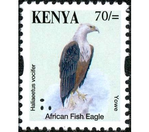 African Fish Eagle (Haliaeetus vocifer) - East Africa / Kenya 2014 - 70