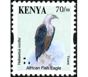 African Fish Eagle (Haliaeetus vocifer) - East Africa / Kenya 2014 - 70