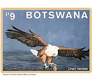 African Fish Eagle (Haliaeetus vocifer) - South Africa / Botswana 2021 - 9