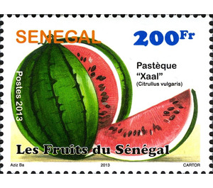 African Melon “Xaal” (Citrullus vulgaris) - West Africa / Senegal 2013 - 200