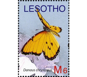 African Monarch (Danaus chrysippus) - South Africa / Lesotho 2007 - 6