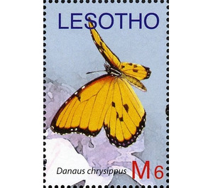 African Monarch (Danaus chrysippus) - South Africa / Lesotho 2007 - 6