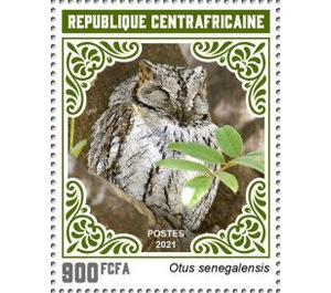 African Scops Owl (Otus senegalensis) - Central Africa / Central African Republic 2021 - 900
