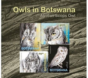 African Scops Owl (Otus senegalensis) - South Africa / Botswana 2020