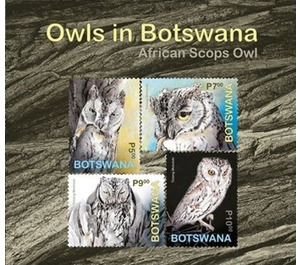 African Scops Owl (Otus senegalensis) - South Africa / Botswana 2020