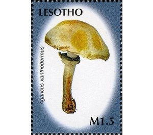 Agaricus xanthodermus - South Africa / Lesotho 2007 - 1.50