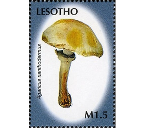 Agaricus xanthodermus - South Africa / Lesotho 2007 - 1.50