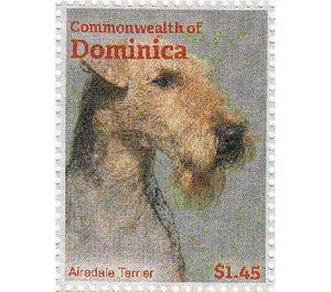 Airedale Terrier (Canis lupus familiaris) - Caribbean / Dominica 2013 - 1.45