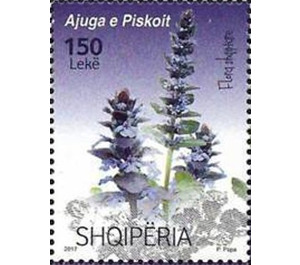 Ajuga Piskoi - Albania 2017 - 150