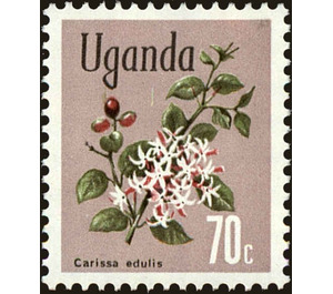 Akamba (Carissa edulis) - East Africa / Uganda 1972 - 70