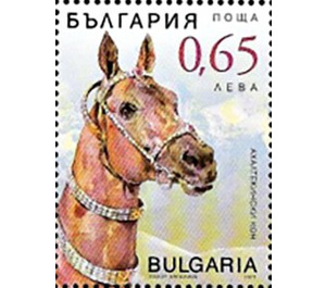 Akhal-Teke Horses - Bulgaria 2019 - 0.65