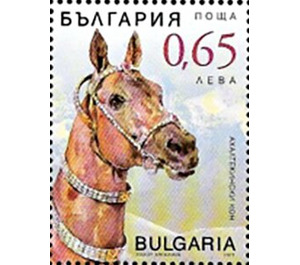 Akhal-Teke Horses - Bulgaria 2019 - 0.65