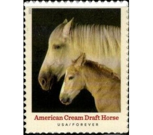 American Cream Draft Horse - United States of America 2021