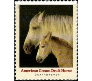 American Cream Draft Horse - United States of America 2021