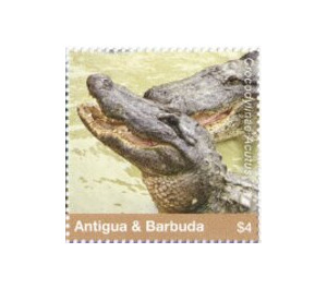 American Crocodile - Caribbean / Antigua and Barbuda 2020 - 4