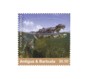 American Crocodile - Caribbean / Antigua and Barbuda 2020 - 6.50
