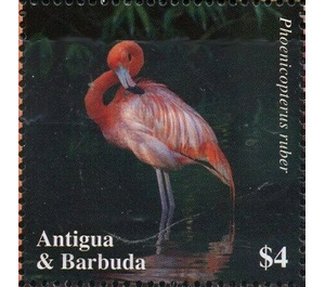 American flamingo - Caribbean / Antigua and Barbuda 2020 - 4