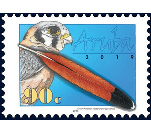 American Kestrel (Falco sparverius) - Caribbean / Aruba 2019 - 90