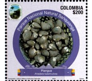 Anadara tuberculosa - South America / Colombia 2021