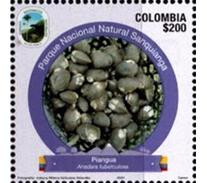 Anadara tuberculosa - South America / Colombia 2021