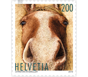Animal friends - Horse  - Switzerland 2019 - 200 Rappen