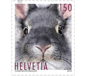 Animal friends - Rabbit  - Switzerland 2019 - 150 Rappen