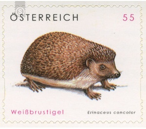 animal welfare  - Austria / II. Republic of Austria 2008 - 55 Euro Cent