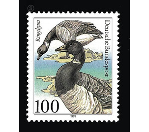 Animal welfare - Threatened seabirds  - Germany / Federal Republic of Germany 1991 - 100 Pfennig