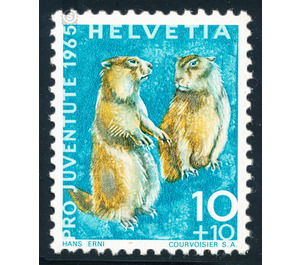 Animals - Marmot  - Switzerland 1965 - 10 Rappen