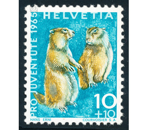 Animals - Marmot  - Switzerland 1965 - 10 Rappen