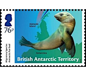 Antarctic Fur Seal (Arctocephalus gazella) - British Antarctic Territory 2018 - 76