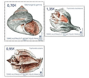 Antarctic Shell Species - French Australian and Antarctic Territories 2019 Set